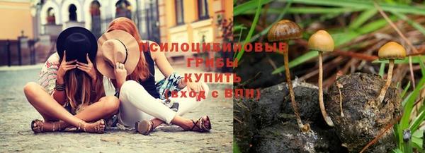 амф Беломорск