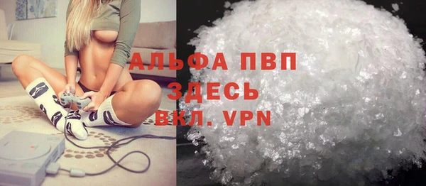 индика Балабаново
