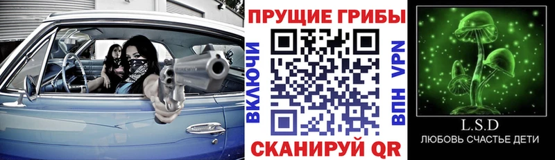 Псилоцибиновые грибы Cubensis  даркнет сайт  omg   Выборг 